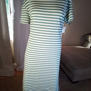 George Green and White Raglan Sleeve Sheath Dress